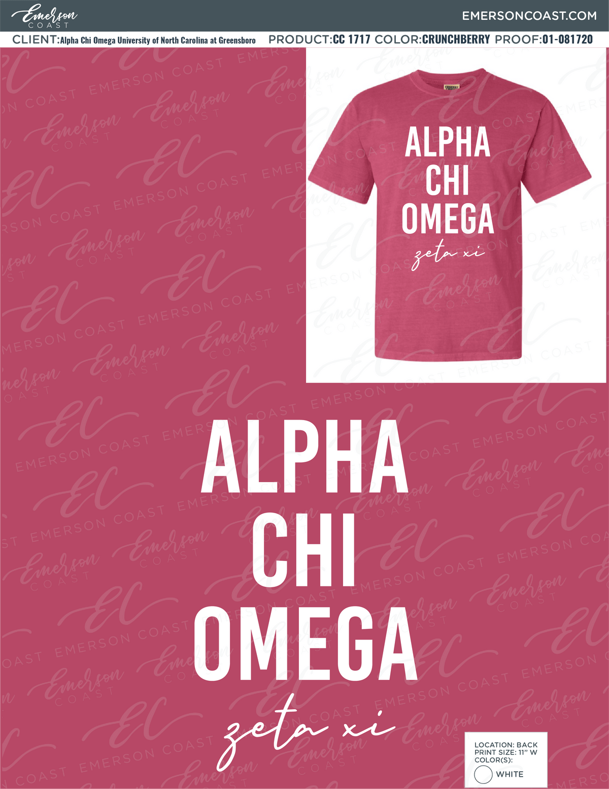 01-081720 Alpha Chi Omega University of North Carolina at Greensboro Pink tees-01