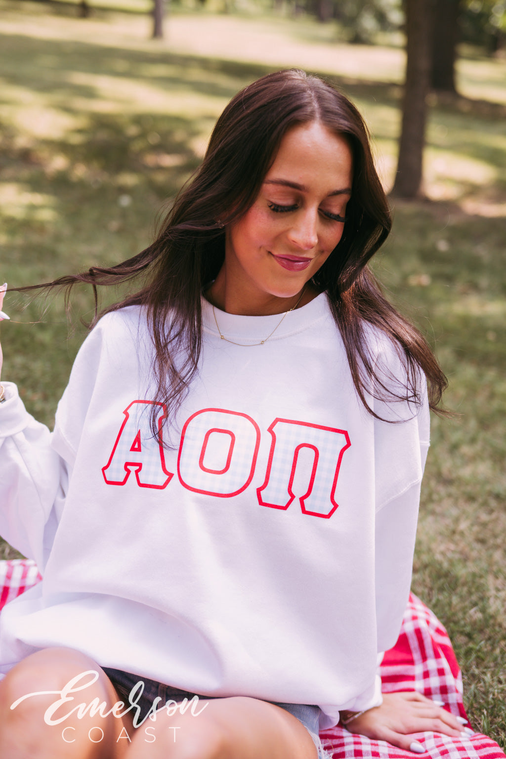 Alpha Omicron Pi Gingham Letter Crewneck