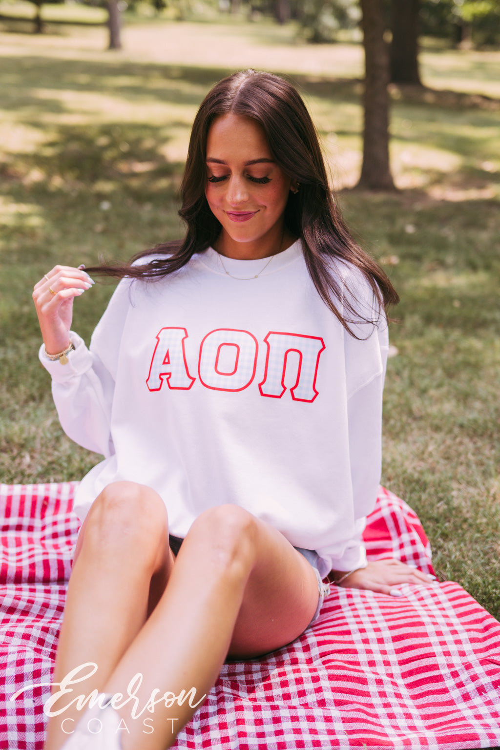 Alpha Omicron Pi Gingham Letter Crewneck