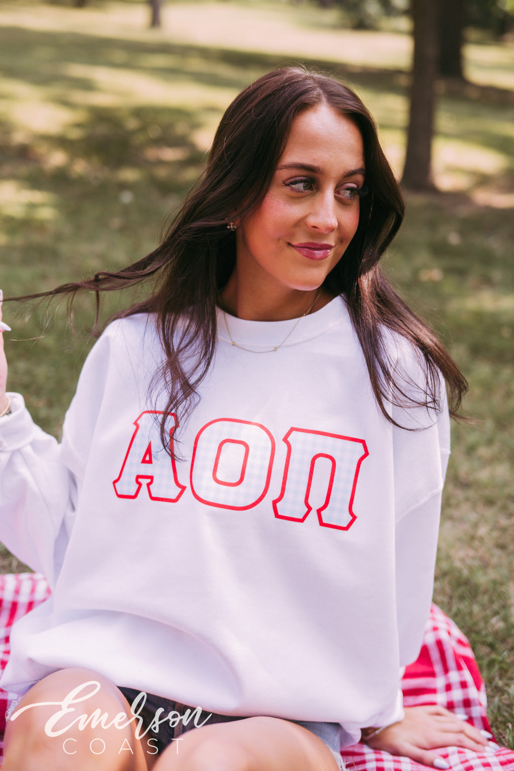 Alpha Omicron Pi Gingham Letter Crewneck