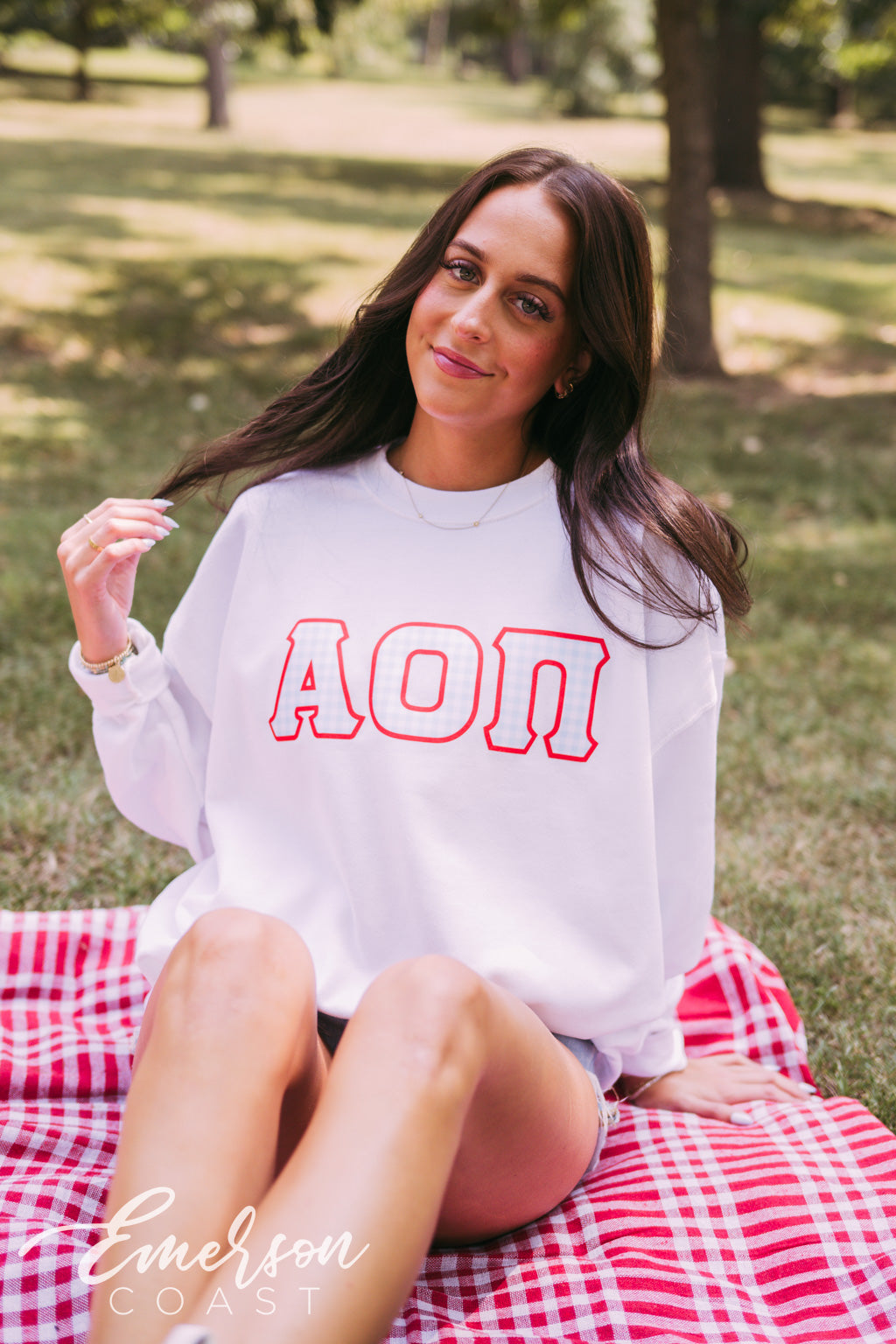 Alpha Omicron Pi Gingham Letter Crewneck