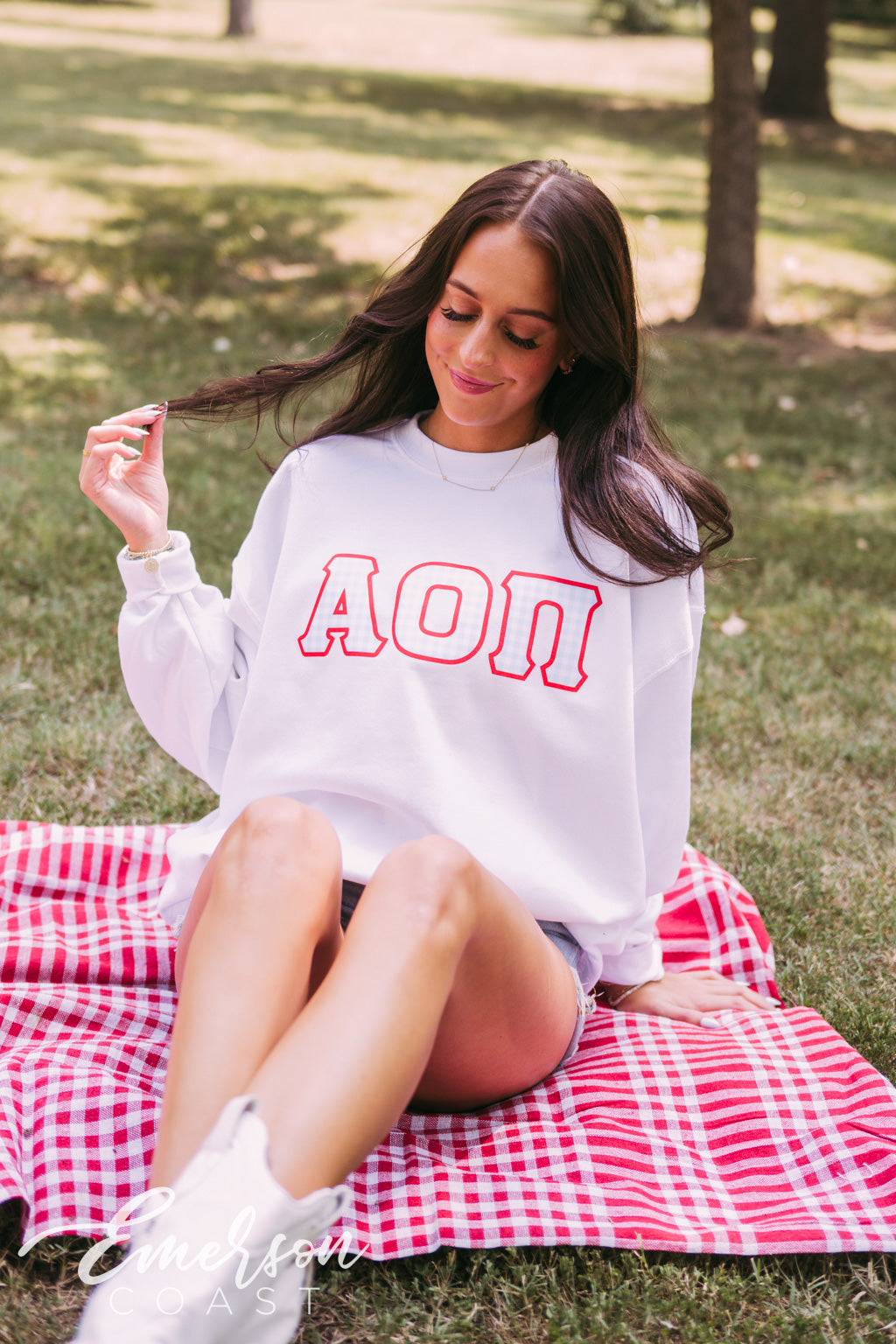 Alpha Omicron Pi Gingham Letter Crewneck