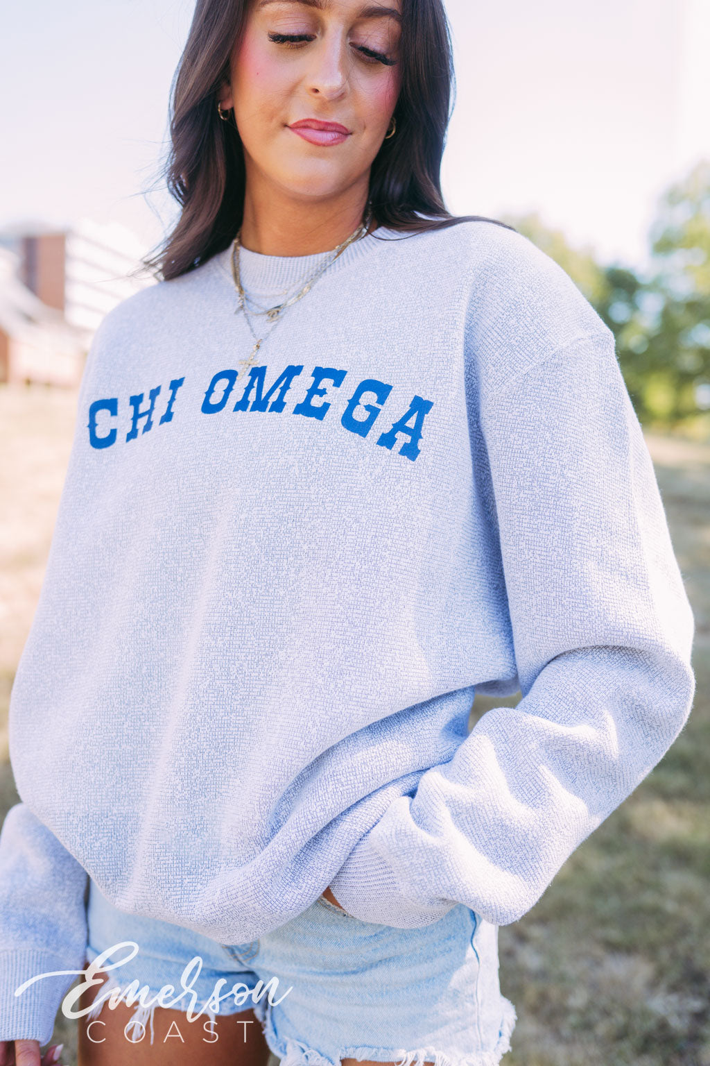 Chi Omega Light Gray Textured Knit Crewneck