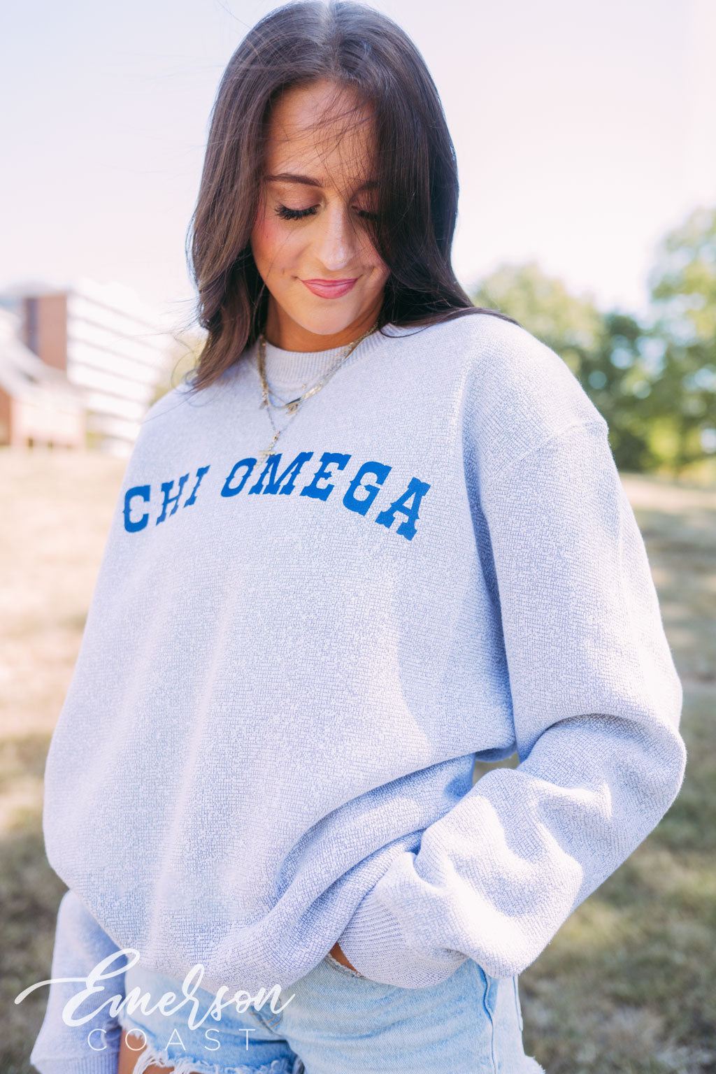 Chi Omega Light Gray Textured Knit Crewneck - Emerson Coast